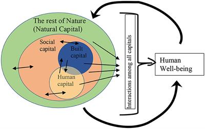Editorial: Ecosystem services, policy, and human well-being